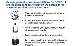 Coronavirus Latest Update